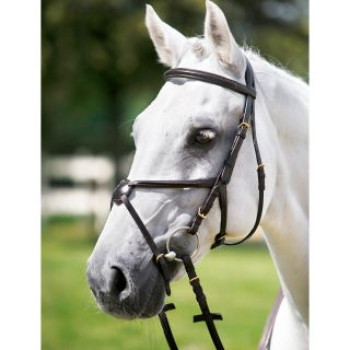 Tattini Headstall Noseband Crossbreed