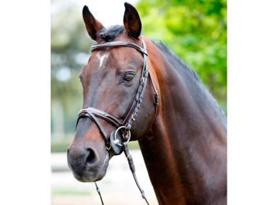  Tattini headband with rhinestones
