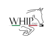 Whip Italy