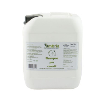 CHAMPÚ LOVE (5 LT)