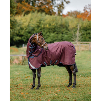 Amigo 1200D Turnout 400g HORSEWARE