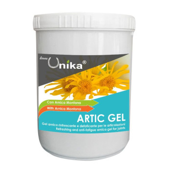 GEL ARTIC (1 KG) LU0081