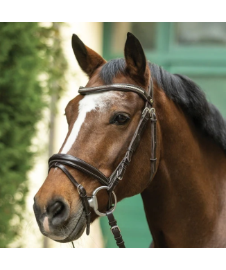 CABEZADA CRISTAL BICOLOR PROMO PARIANI