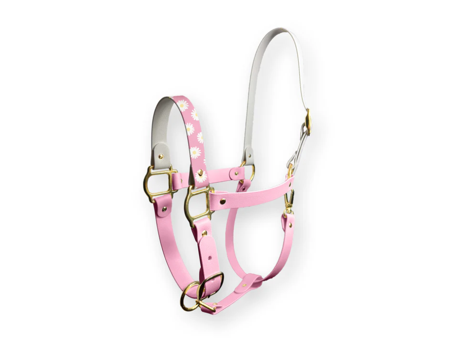 Cabestro M'ama Non M'ama SPARKLE UNICORN 