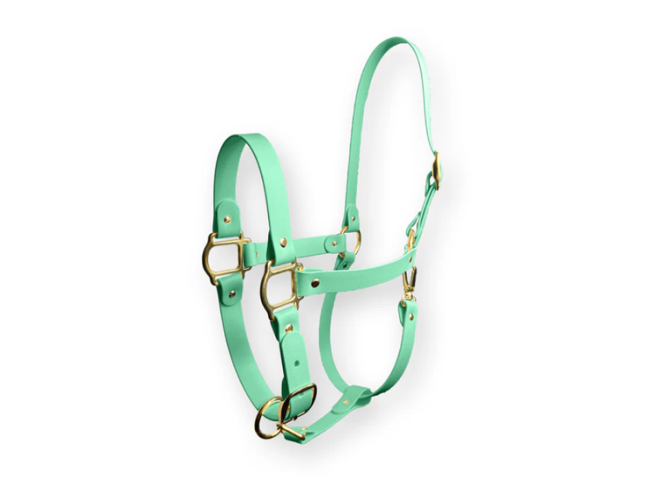 Cabezada Mint Breeze SPARKLE UNICORN