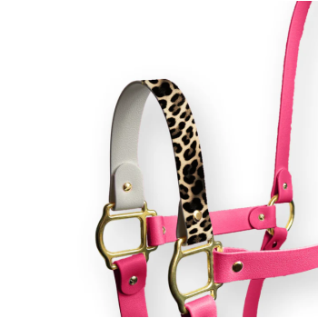 Cabestro Snow Leopard Sparkle Unicorn