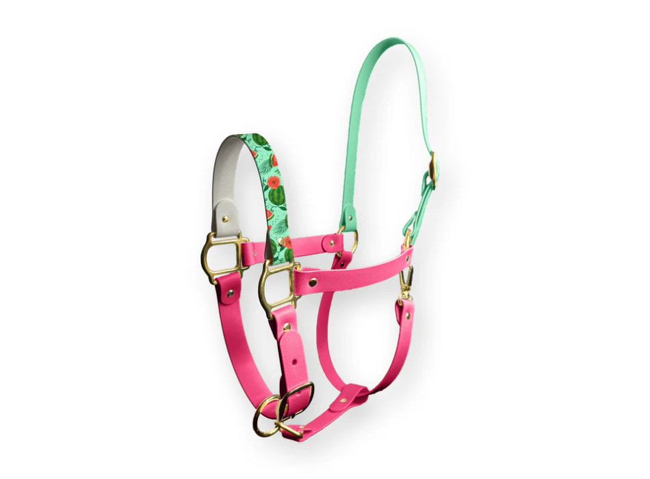 Cabestro Zante SPARKLE UNICORN