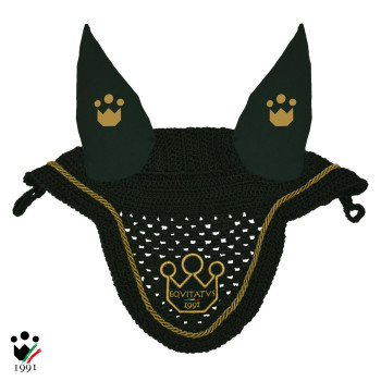 DIADEMA INALÁMBRICA PONY