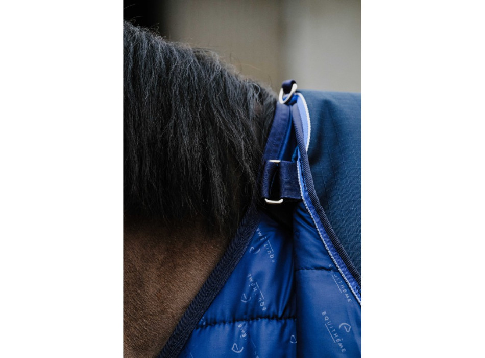 Alfombra clásica de exterior EQUITHEME 0 y 50 gr