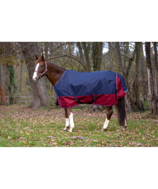 Manta de exterior EQUITHEME Tyrex 1200D
