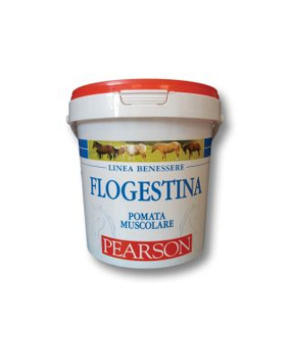 Flogestina pearson ungüento muscular gr. 1500