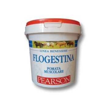 Flogestina pearson ungüento muscular gr. 1500