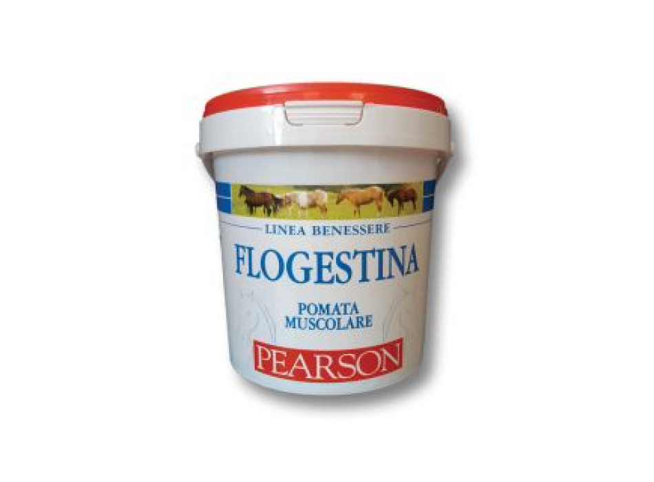 Flogestina pearson ungüento muscular gr. 1500