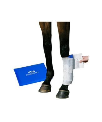 SET DE CABALLOS COMPACTO KRYO