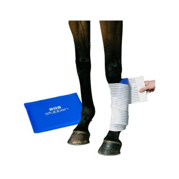 SET DE CABALLOS COMPACTO KRYO