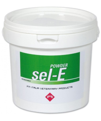 Sel-E Pienso Complementario 2 kg FM ITALIA