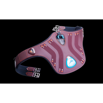 Protectores de crampones eDiamond