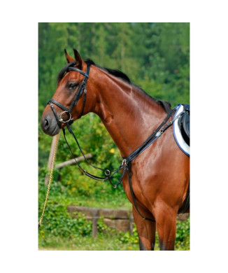 Correa de pecho con fijación elástica y deslizante.