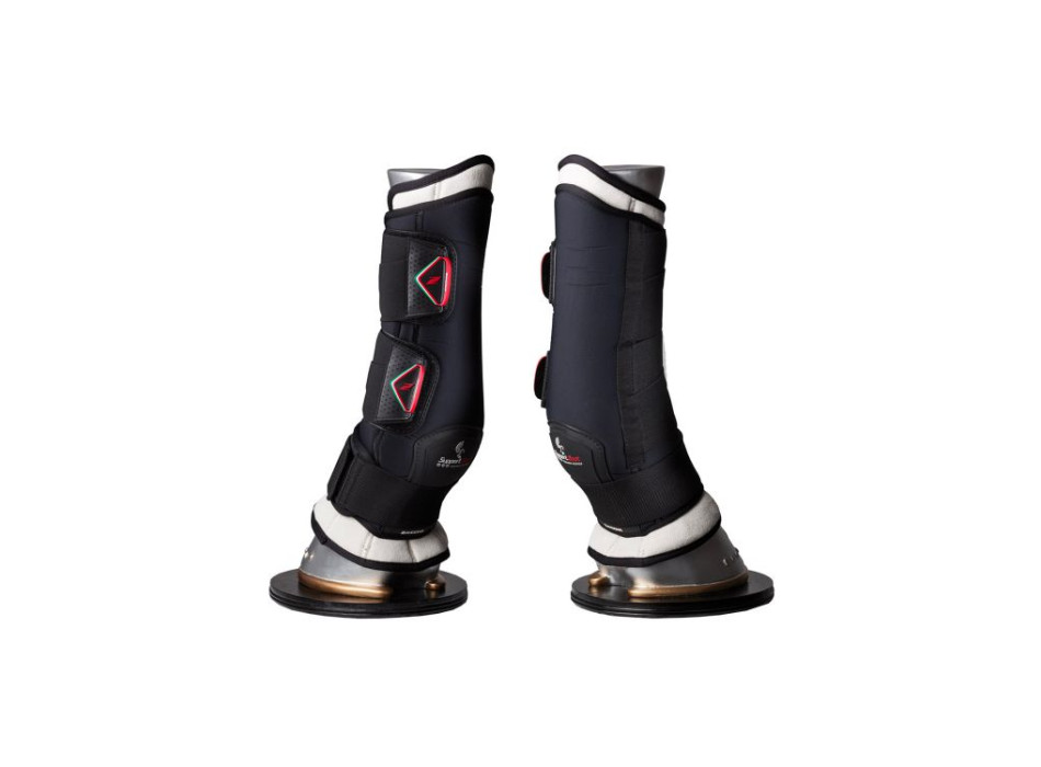 BOTAS DE AIRE DELANTERAS ESTABLES