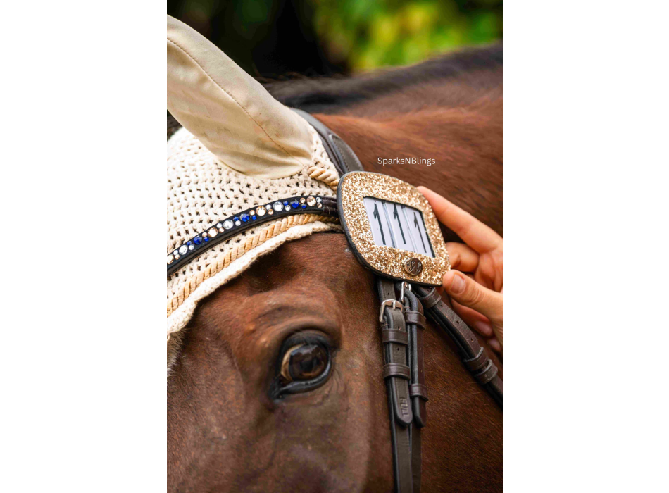 Placa de matrícula de caballo con purpurina Sparks N Blings