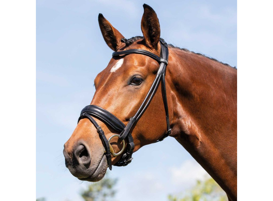 CABECERO FORNARINA PIEL DE BECERRO LAMINADA