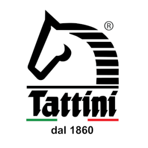 Tattini