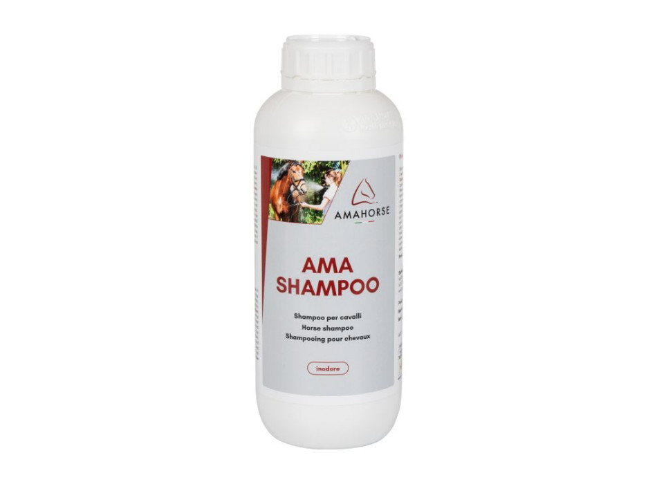 Shampoing d'amour (1 LT)