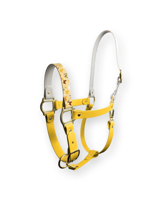 Licol Amber Wings SPARKLE UNICORN