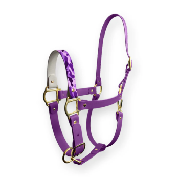 Licol Violet Soldier Sparkle Unicorn