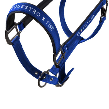 Licol rembourré à double réglage Equestro X FISE