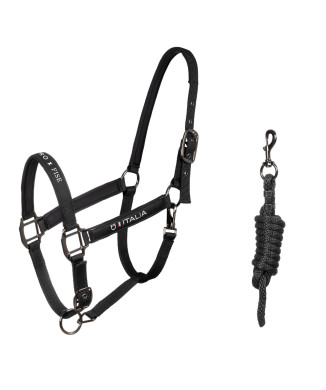 Licol rembourré à double réglage Equestro X FISE