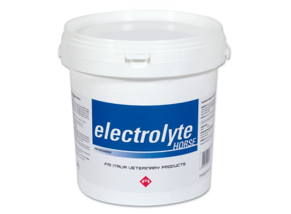 Électrolyte Cheval 3 kg FM ITALIA