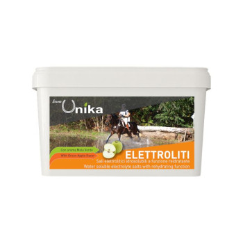 ÉLECTROLYTE ENDURANCE (1 KG) LU0020
