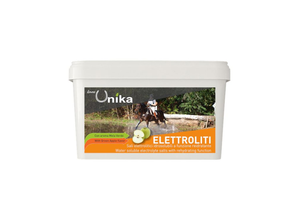 ÉLECTROLYTE ENDURANCE (3 KG) LU0021