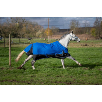 Tapis EQUITHEME 1200D Aisance Standard