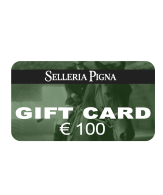 Carte cadeau 100€