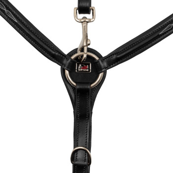 POITRINE AVEC DÉCORATIONS CONTRASTÉES