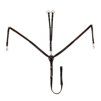 POITRINE AVEC DÉCORATIONS CONTRASTÉES