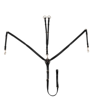 POITRINE AVEC DÉCORATIONS CONTRASTÉES