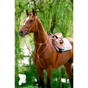 coffre avec martingale coulissante