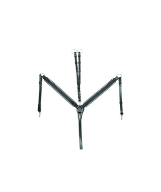 MARTINGALE ÉLASTIQUE ET MARTINGALE SUPRÊME