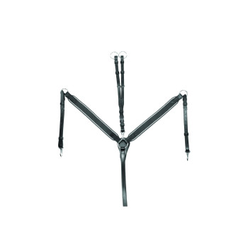 MARTINGALE ÉLASTIQUE ET MARTINGALE SUPRÊME