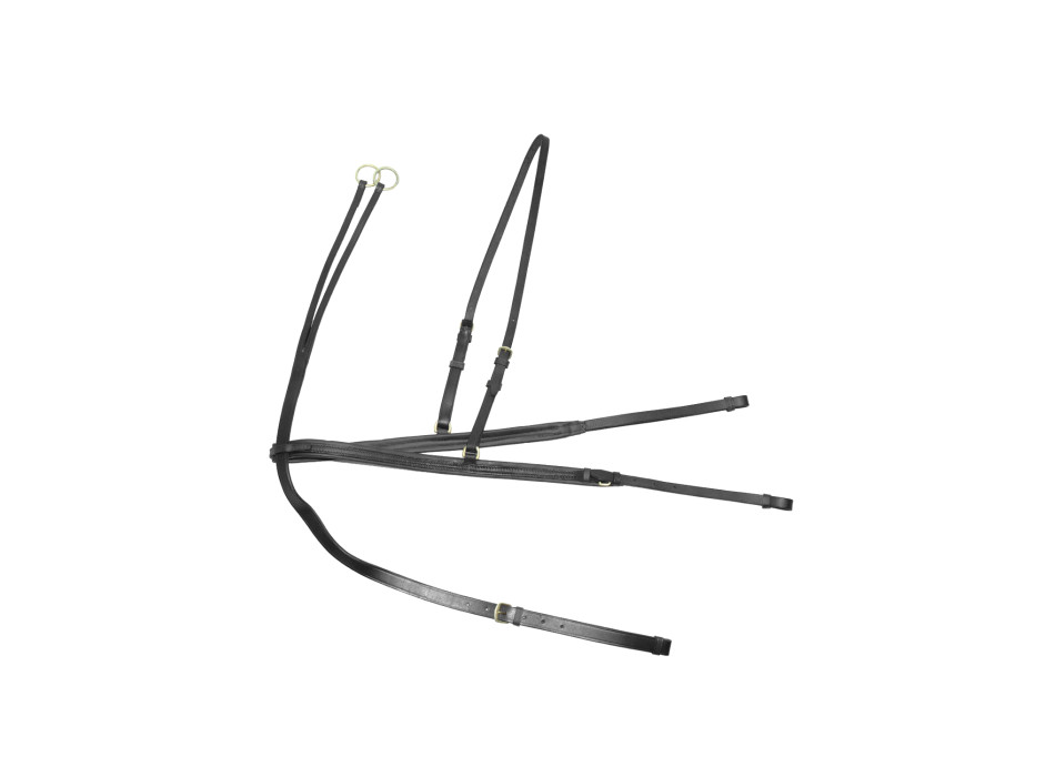 DERBY BRASSE + MARTINGALE