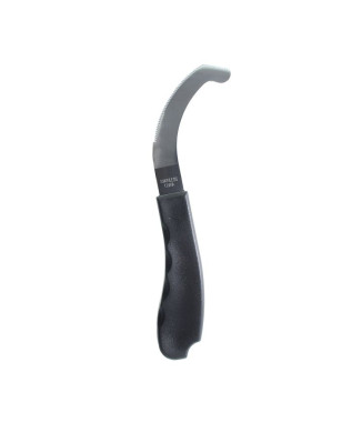 PARASITES GRATTEURS D'ŒUFS