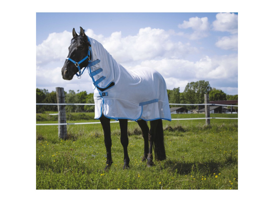 Feuille de filet combinée RIDING WORLD