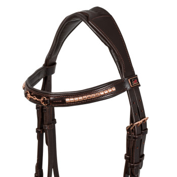 TÊTE DE LIT ANGLAISE AVEC DÉCORATION EN FIL D'OR ROSE