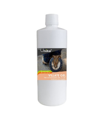 Gel VILLATE (500 gr) LU0110