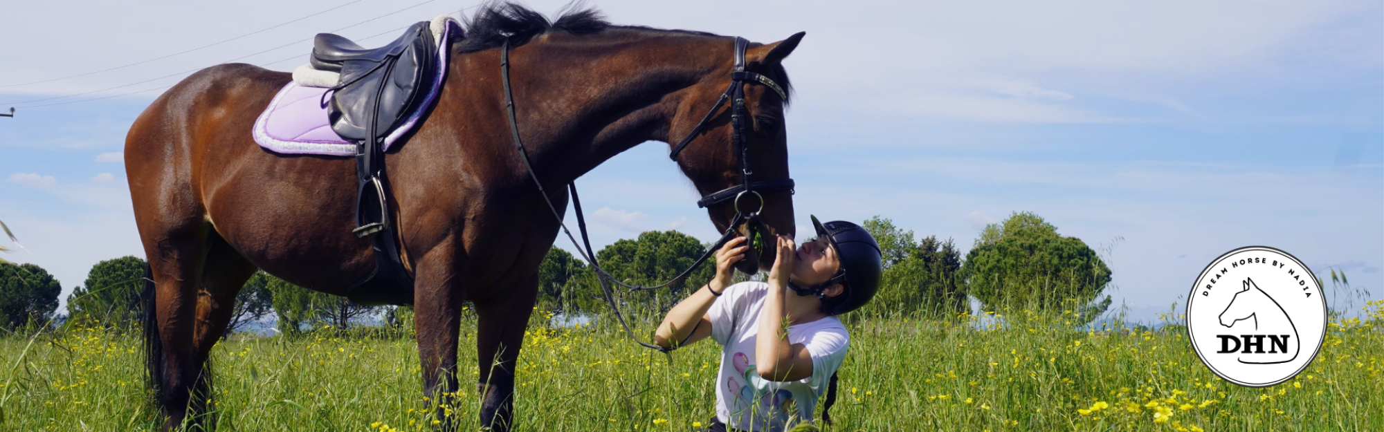 DHN - Dream Horse by Nadia