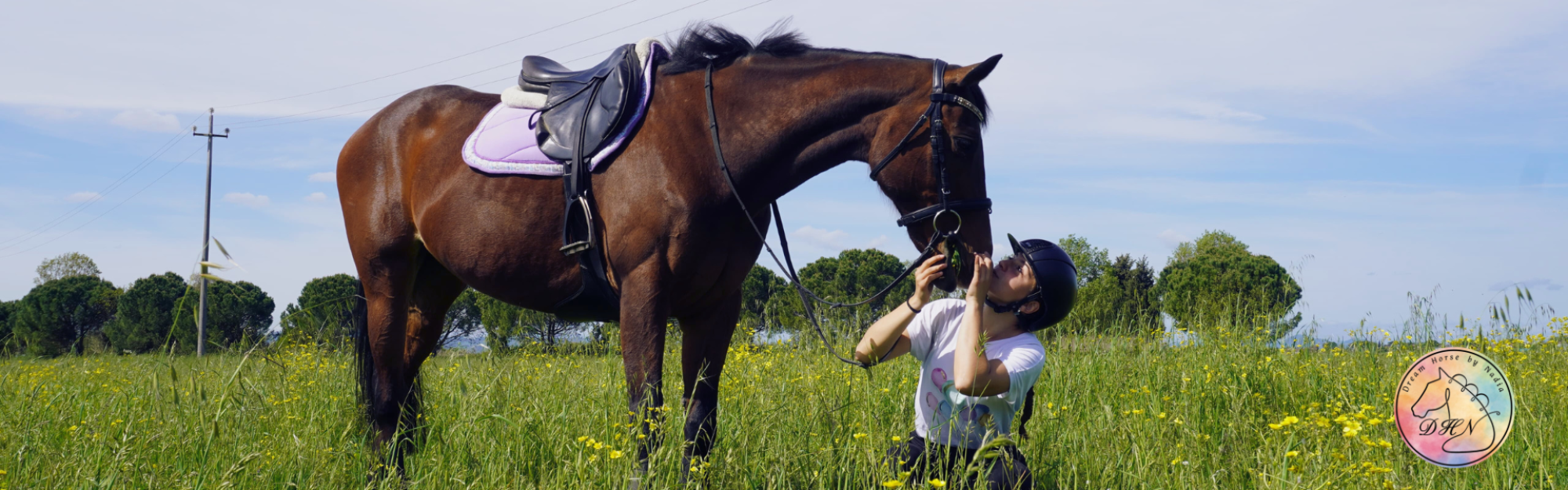 DHN- Dream Horse by Nadia