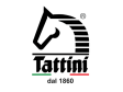Tattini